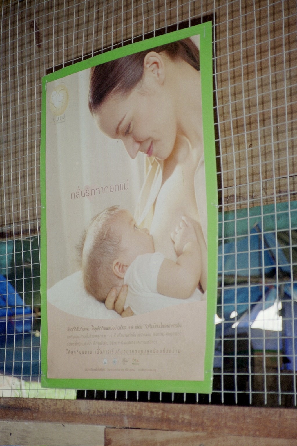 ThaiBFPolicyposter